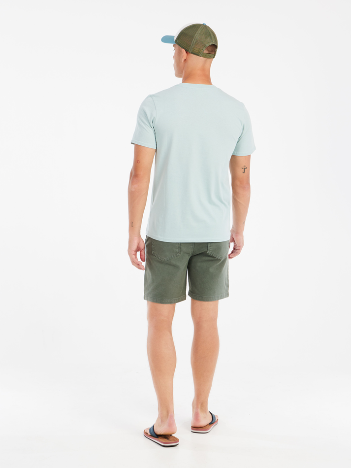 Protest Mens Barn T-Shirt - Pale Green