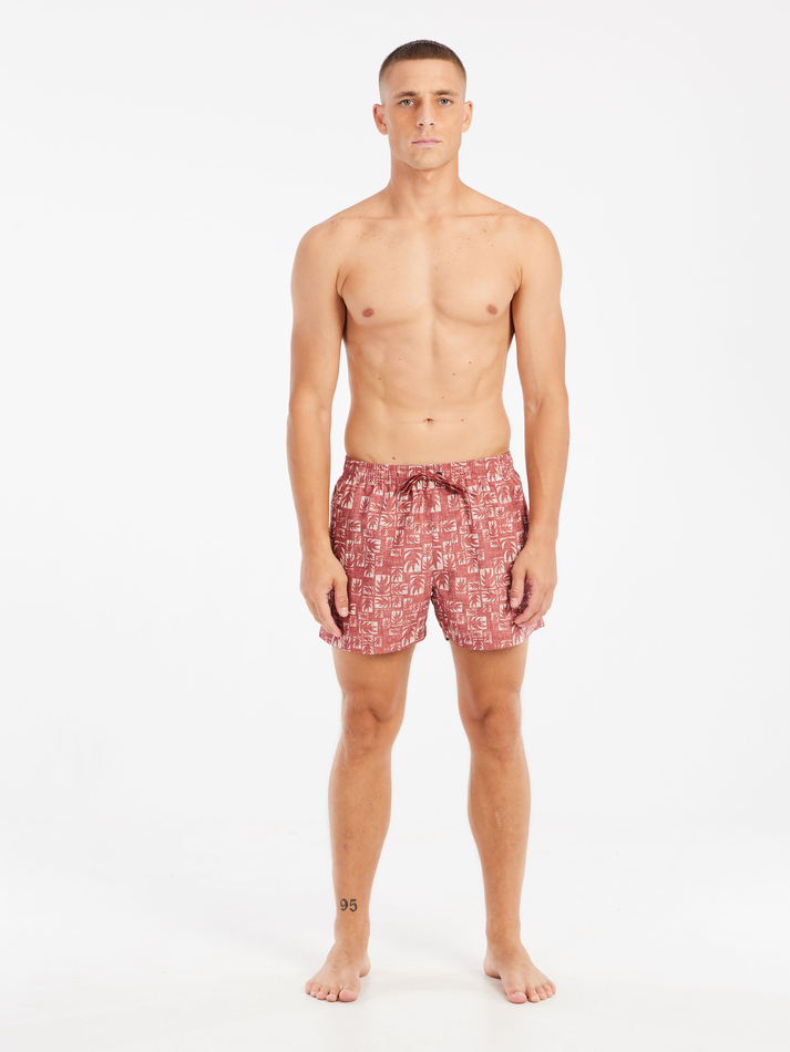 Protest Mens Tifton Beach Shorts - Brick Red
