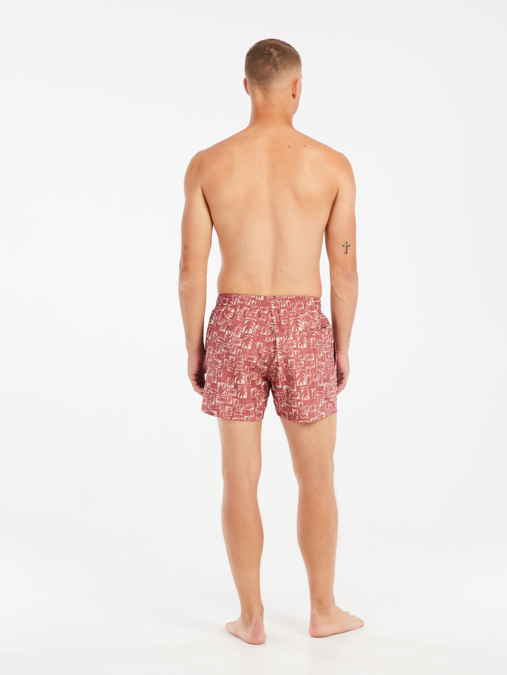 Protest Mens Tifton Beach Shorts - Brick Red