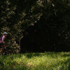 Adventure Bikes