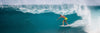 Sharp Eye Surfboards
