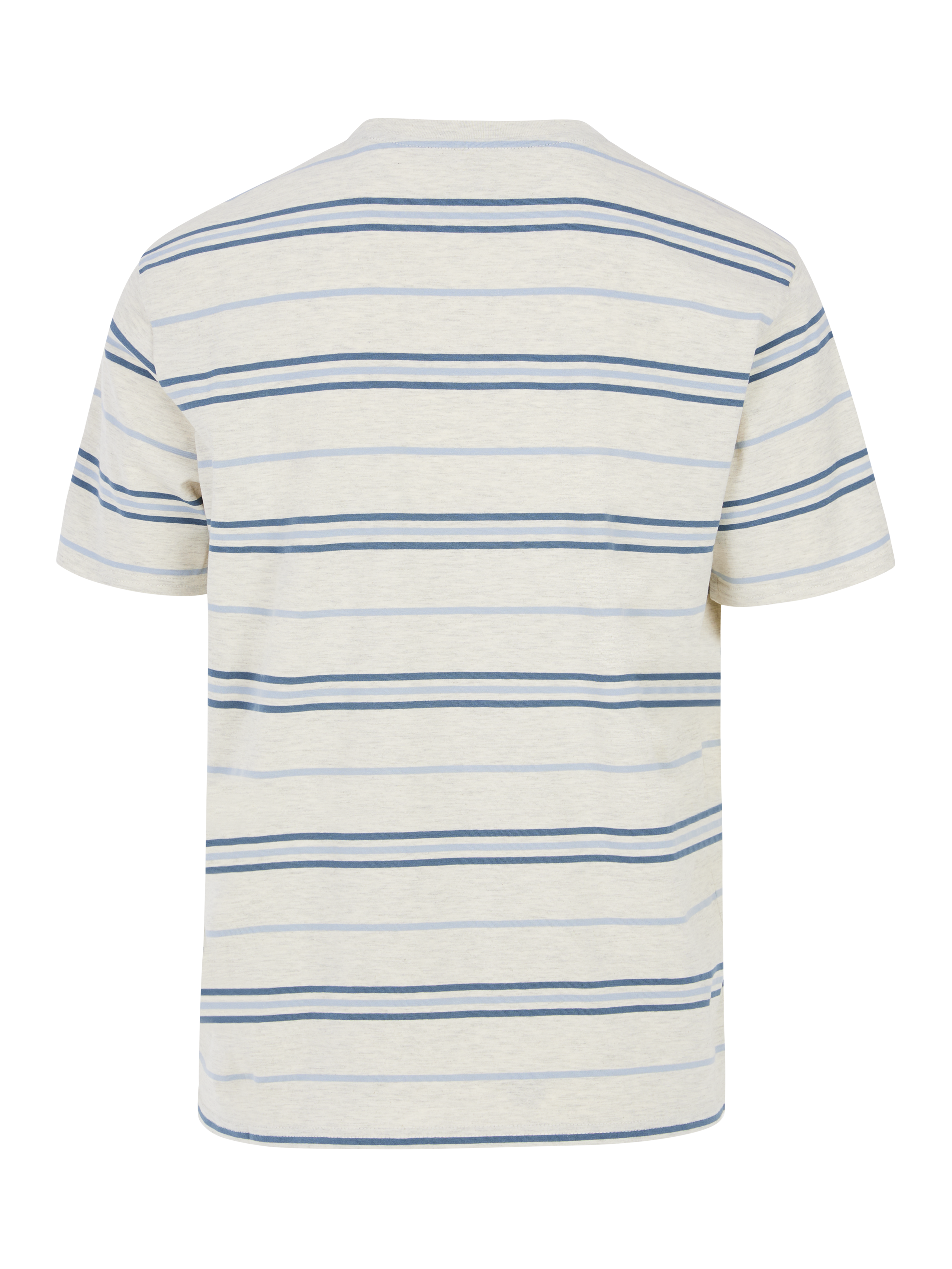 Protest Mens Huxly T-Shirt - Raku Blue