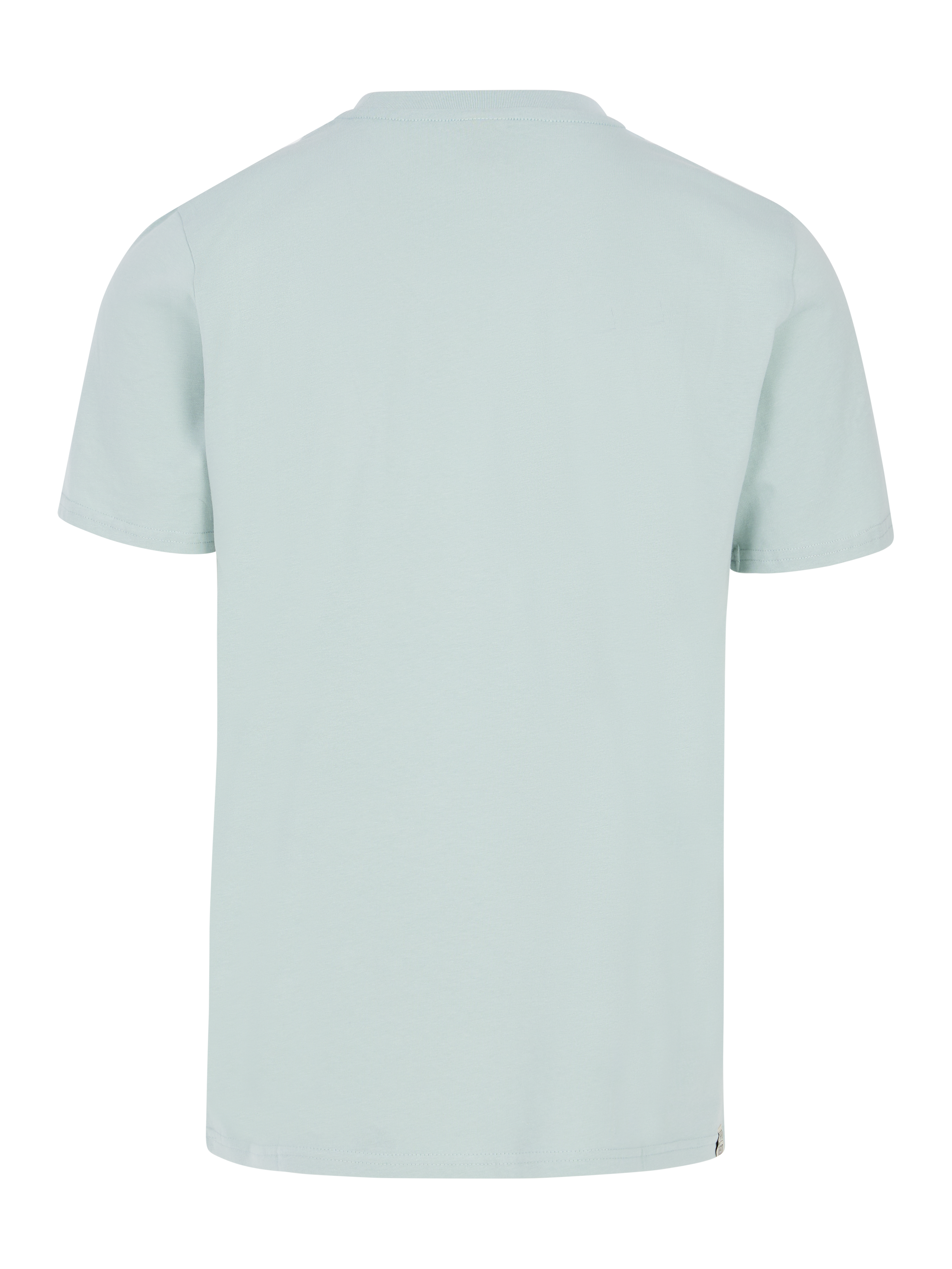 Protest Mens Barn T-Shirt - Pale Green