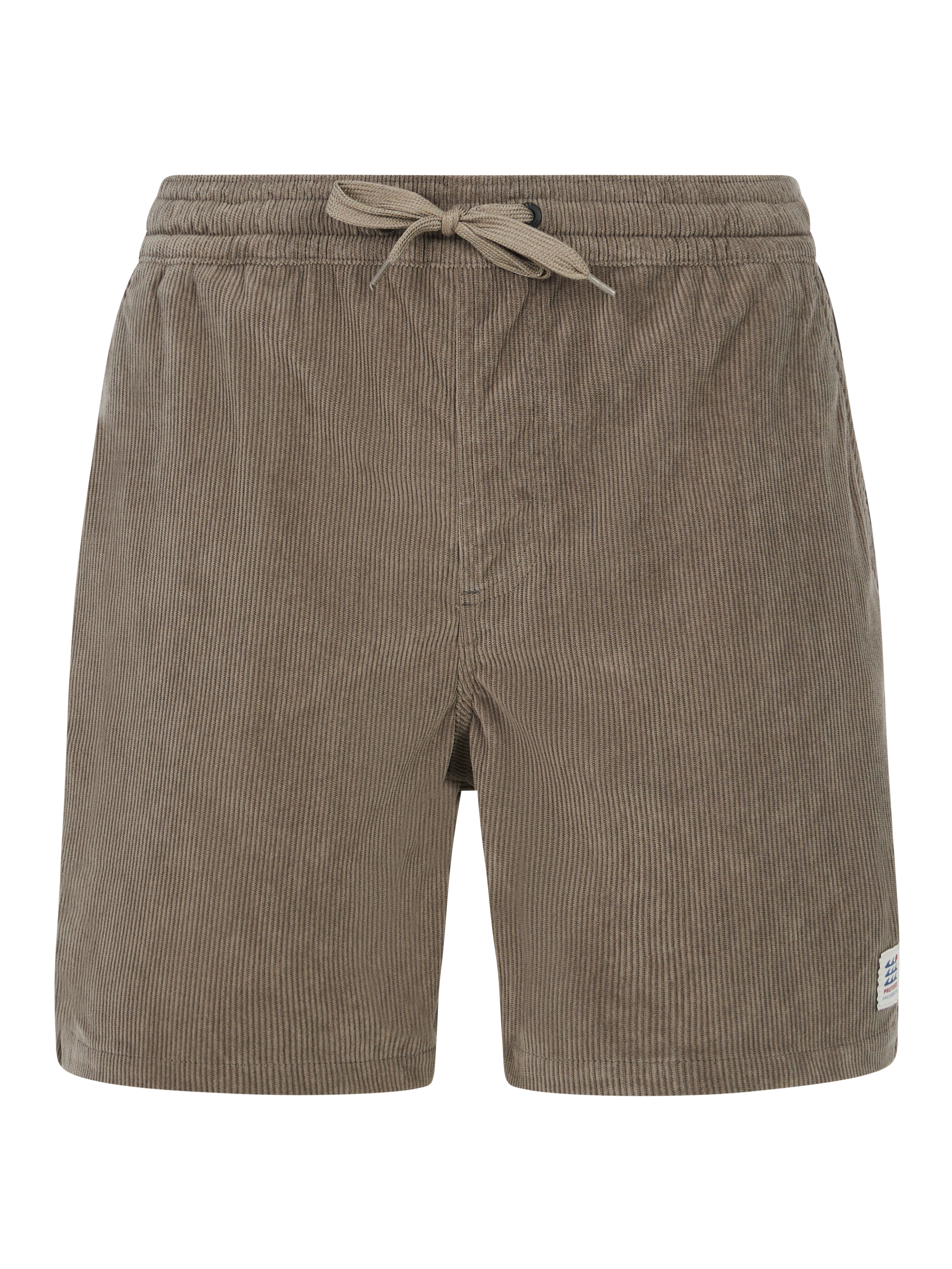 Protest Mens Uleyo Shorts - Soil Grey