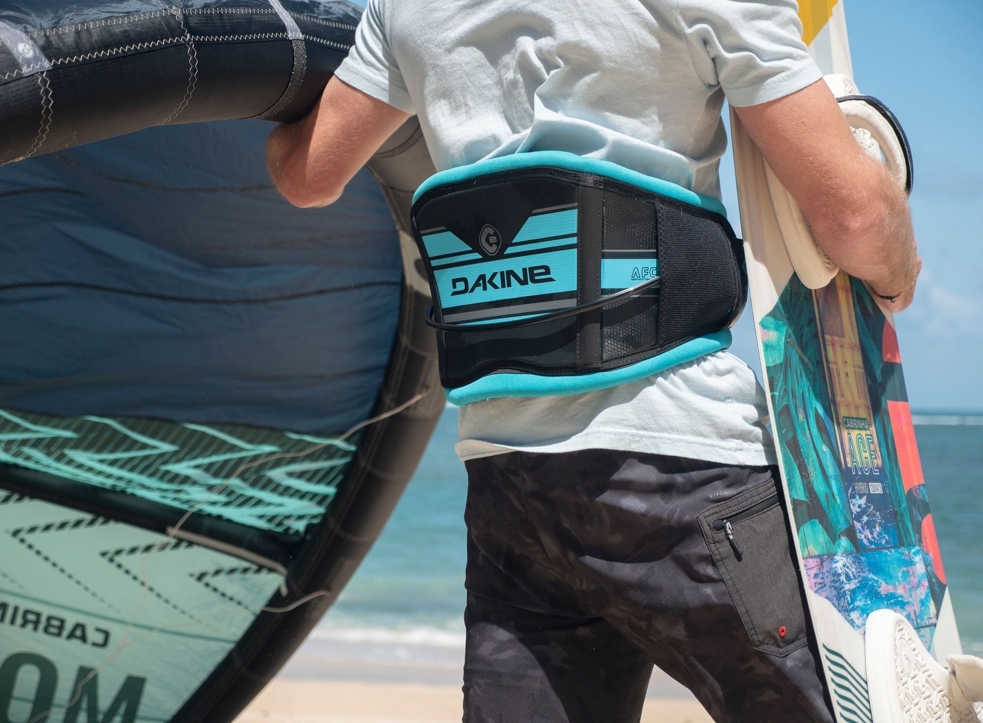 Dakine C-2 Harness (Aqua) | Harnesses | Dakine