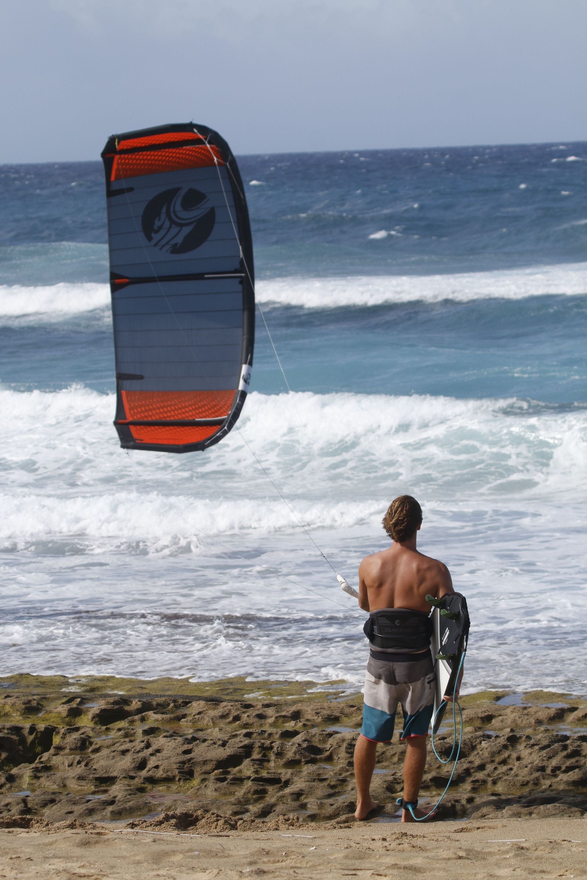 Dakine C-2 Harness (Aqua) | Harnesses | Dakine
