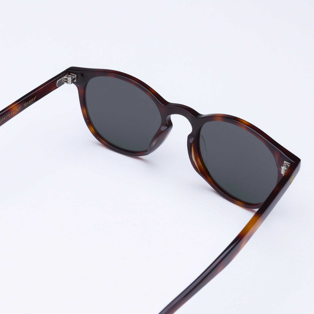 Pipeline - Tortoise Shell