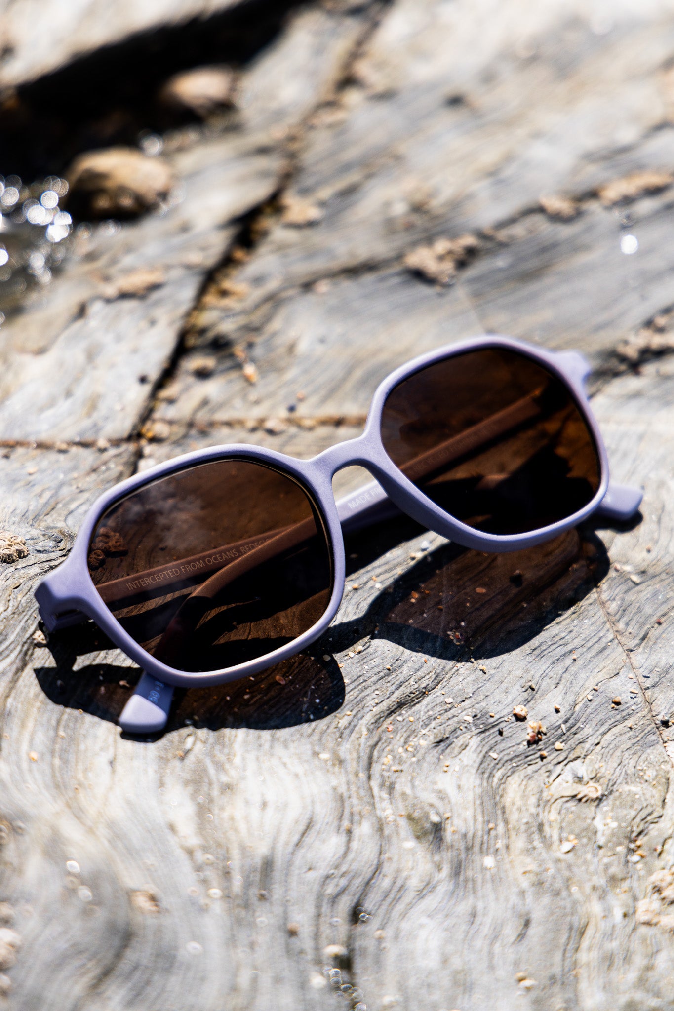 Waterhaul Droskyn Sunglasses - Heather