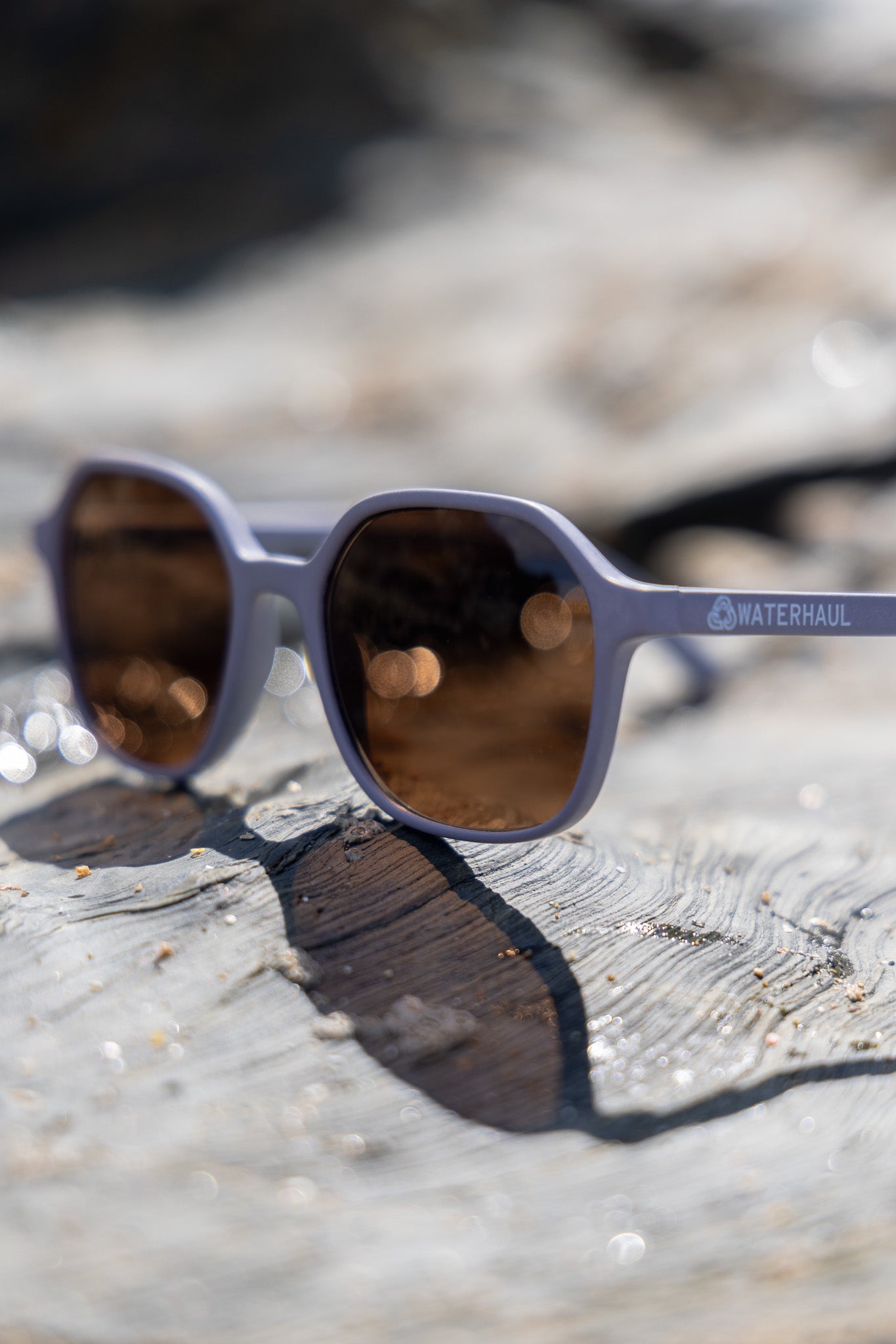 Waterhaul Droskyn Sunglasses - Heather