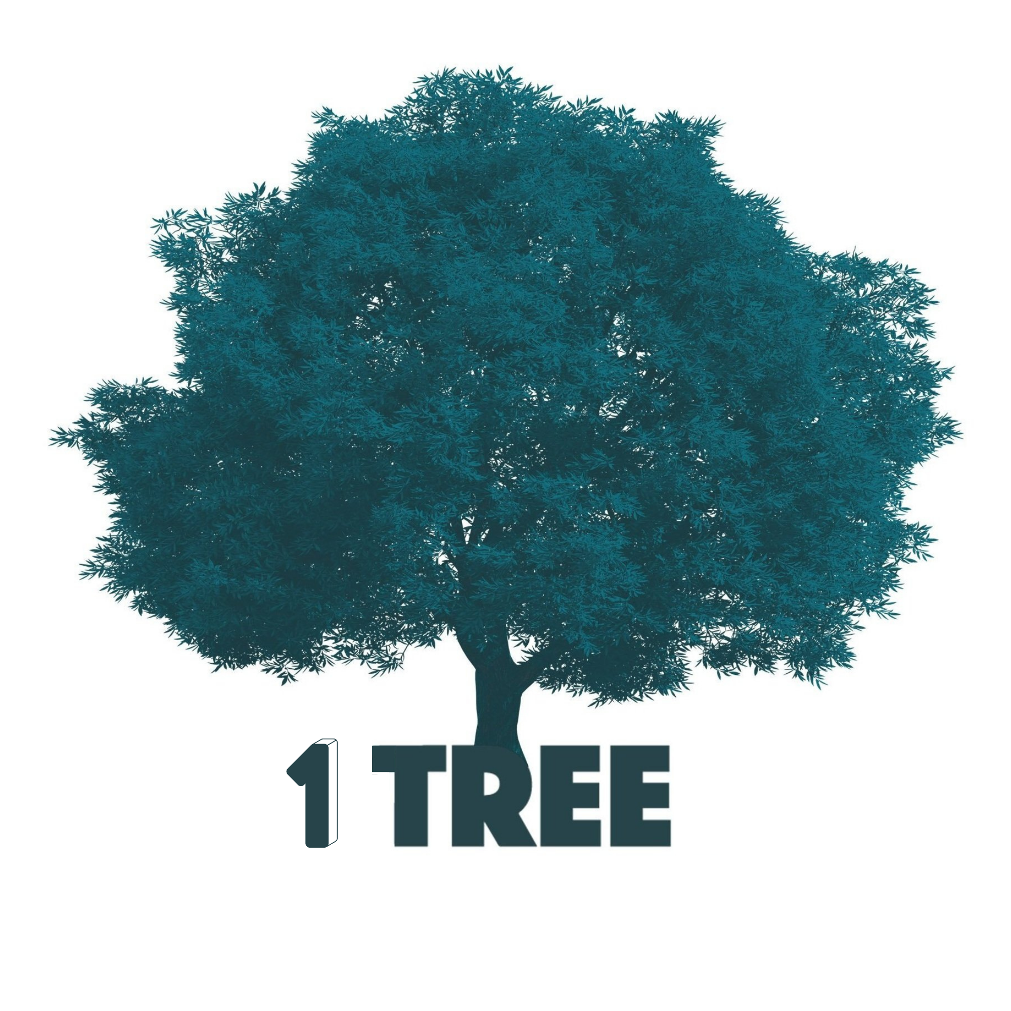 9Trees | Green Overhead