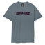 Santa Cruz Arch Strip T-Shirt - Iron