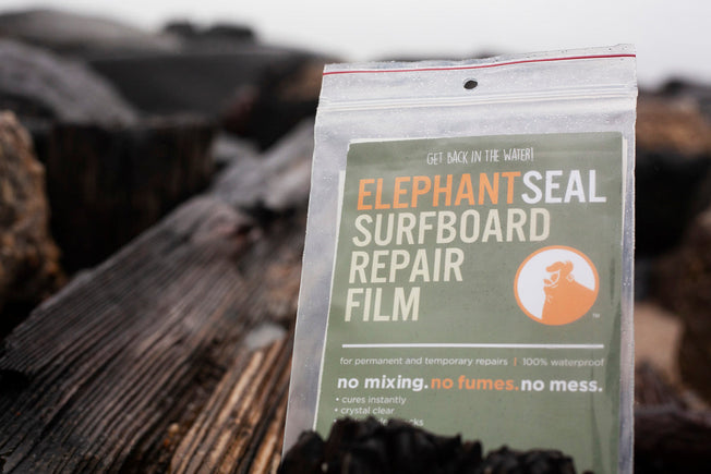Elephant Seal Surfboard Repair Film