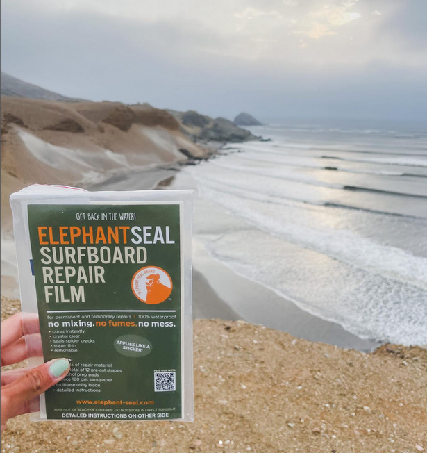 Elephant Seal Surfboard Repair Film